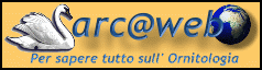 Tutto sull'Ornitologia